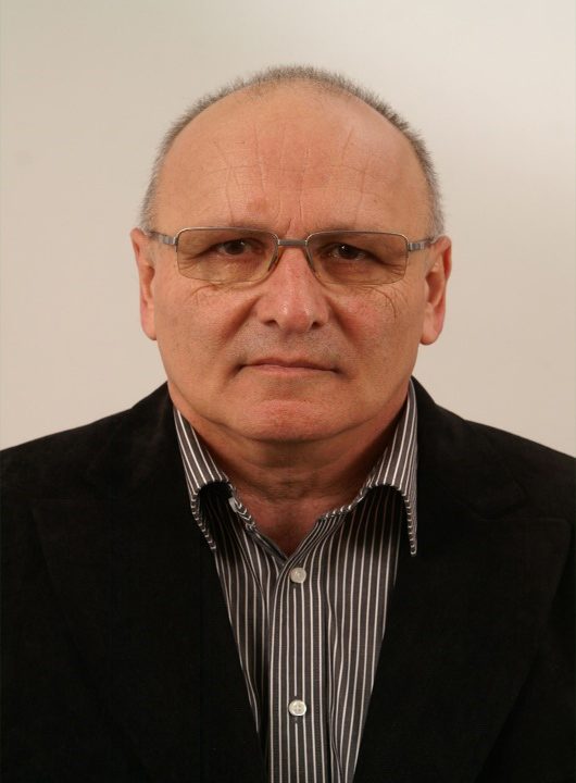 Войку Александру - Вергилий